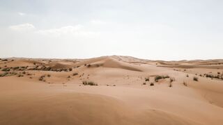 4K Computer Monitor - a desert with sand dunes and some bushes | Trending HD Video