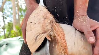 Coconut Cutting