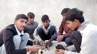 Switzerland of Very Green Beauty 2