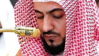 Sheikh Al-Walid Al-Shamsan