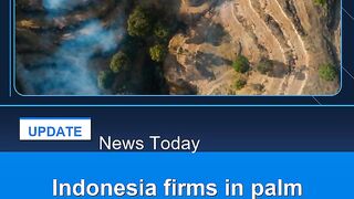 Indonesia-firms-in-palm-oil-fraud-probe-supplied-fuel-majors