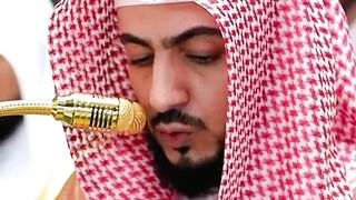 Beautiful Quran Recitation with shaikh waleed