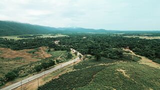 Cartier - id | Trending HD Video 44