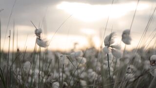 4K Computer Monitor - id | Trending HD Video 132