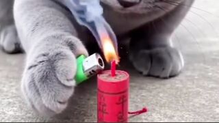 WAIT FOR THE END ????????