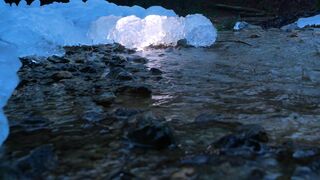 Winterhalter - id | Trending HD Video 93