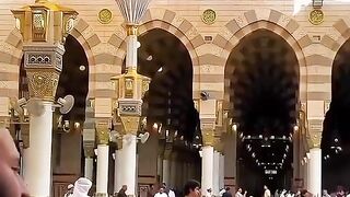 ইসলামিক ভিডিও 23