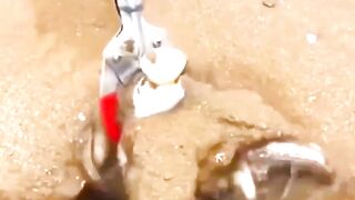 Animals That Can Make You Rich #animals #wildlife #albinoballpython #albinoalligator #tibetanmastiff