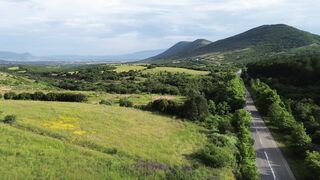 Scarred - id | Trending HD Video 49