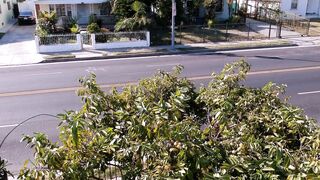 Scarred - id | Trending HD Video 50