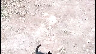 He fell into a panther den