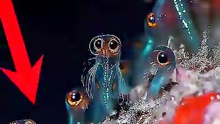 5 bizzarre fish in the worlk whose existence is unknown