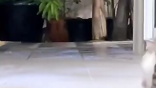 Cat Plays with Rat 2