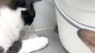 Stay Away from My Snake