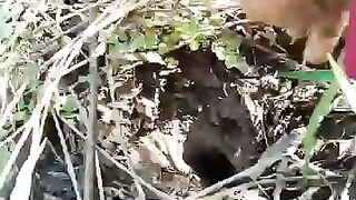 Looking for a fish or eel... Thanks for watching..!! 29