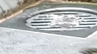 Cat Fights with Snake and Cat