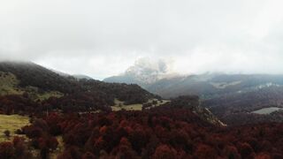 Carrefour - id | Trending HD Video 50