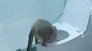 Oops, wrong water bowl