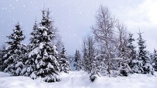 Winter Coat - id | Trending HD Video 94