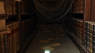 Spider POV — Secret Underground Library