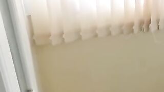 Bird Regrets Flying into Cat Room