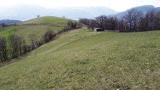 Scarred - id | Trending HD Video 57