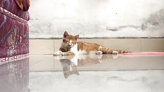 When You’re Half Asleep But Still Trying ????????