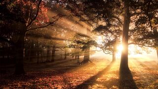 Smartphone POCO X7 PRO 5G NFC tela Amoled C mera 4K - id | Trending HD Video 4