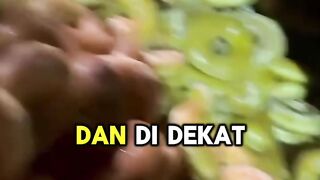 Beginilah Kalau Kamu Tinggal di Amerika "DAPAT DONAT GRATIS"