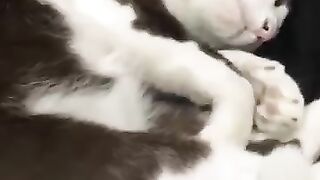 Make the World Go Away