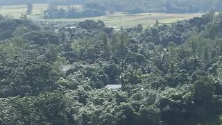 4K resolution - stunning 4k aerial view of bangladeshi countryside | Trending HD Video