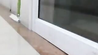 Frog Jumps for Dear Life