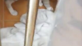 You Cut My Balls Off! 2