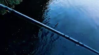 Never Stop Casting Hope ???? | Powerful Life Lesson from Fishing