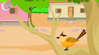 Bulbul ka bacha