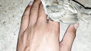 Bird ???? love