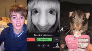 TikTok Memes Will Make You Laugh Uncontrollably ???? v3