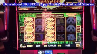 $2,500 Max Bet Dragon Link MASSIVE JACKPOT - Biggest Casino Win In 2023