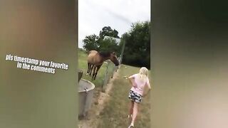 THE BEST CUTE AND FUNNY ANIMAL VIDEOS OF 2023!