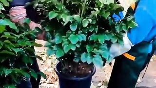 Smart Trick Make Packing Easier #satisfying