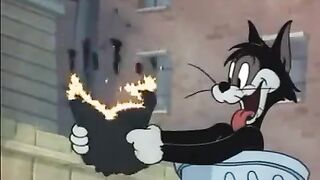 Tom and Jerry cartoon