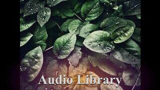 Lush — Metro Vice - Free Background Music - Audio Library