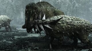 BIG Animals fighting