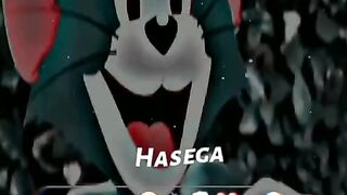 Hasega