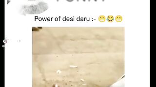 Funny video