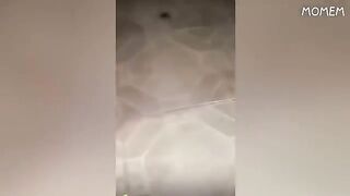 You Laugh You Restart The Video