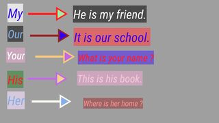 Possessive adjective