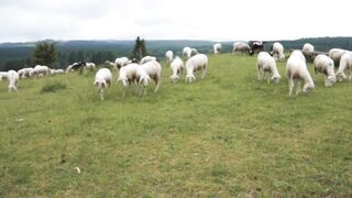 Relaxing music