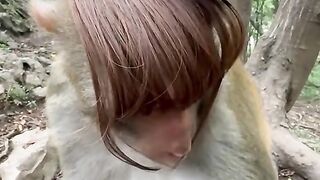 a monkey who is upset