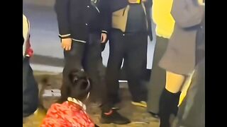 I-think-its-a-good-bond #